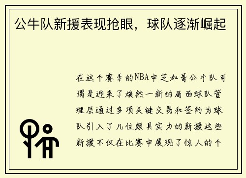 公牛队新援表现抢眼，球队逐渐崛起