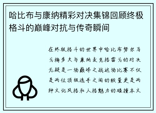 哈比布与康纳精彩对决集锦回顾终极格斗的巅峰对抗与传奇瞬间